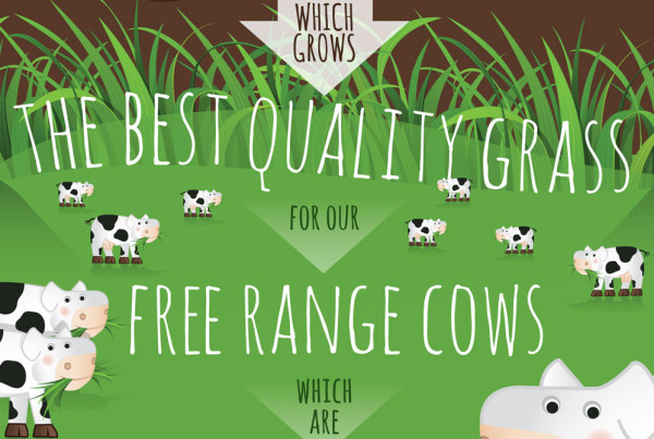 Green-Pastures-Infographic-Featured